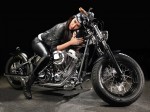  Мотоцикл Hollister Size L (2012): Эксплуатация, руководство, цены, стоимость и расход топлива 