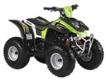  Мотоцикл ATV 100 (2009): Эксплуатация, руководство, цены, стоимость и расход топлива 