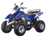 ATV Dragon 250 (2009)