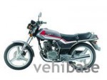  Мотоцикл XT125-D Cruise (2010): Эксплуатация, руководство, цены, стоимость и расход топлива 