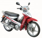  Мотоцикл Active 110 (2009): Эксплуатация, руководство, цены, стоимость и расход топлива 