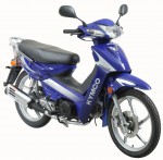  Мотоцикл Active 125 (2004): Эксплуатация, руководство, цены, стоимость и расход топлива 