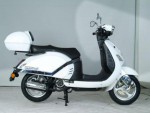 Pato 125 (2009)