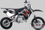  Мотоцикл Recreational Four X Pro (2007): Эксплуатация, руководство, цены, стоимость и расход топлива 