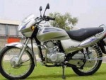  Мотоцикл Freedom DX (2010): Эксплуатация, руководство, цены, стоимость и расход топлива 