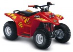  Мотоцикл Grizzly 4-wheels (2010): Эксплуатация, руководство, цены, стоимость и расход топлива 