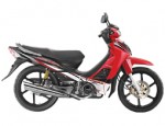  Мотоцикл Kriss 120 (2011): Эксплуатация, руководство, цены, стоимость и расход топлива 