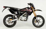 Информация по эксплуатации, максимальная скорость, расход топлива, фото и видео мотоциклов Ryz 50 Pro Racing Urban Bike (2007)