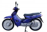 Информация по эксплуатации, максимальная скорость, расход топлива, фото и видео мотоциклов Evolution 110 (2009)