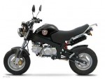 Информация по эксплуатации, максимальная скорость, расход топлива, фото и видео мотоциклов Mini Monster 125 (2012)