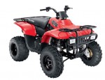  Мотоцикл Trail Boss 330 (2011): Эксплуатация, руководство, цены, стоимость и расход топлива 