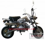  Мотоцикл Colibry Le Mans 125 (2010): Эксплуатация, руководство, цены, стоимость и расход топлива 