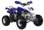 Информация по эксплуатации, максимальная скорость, расход топлива, фото и видео мотоциклов ATV 250S