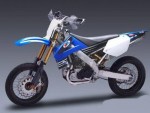 450 Motard (2008)