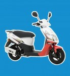 Cordi 50 (2011)
