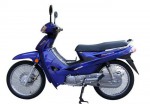 Evolution 110 (2009)
